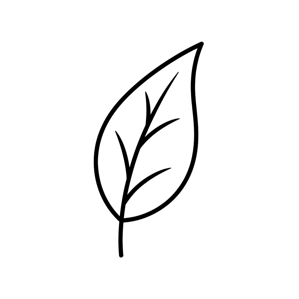 一个树叶的简笔画图标